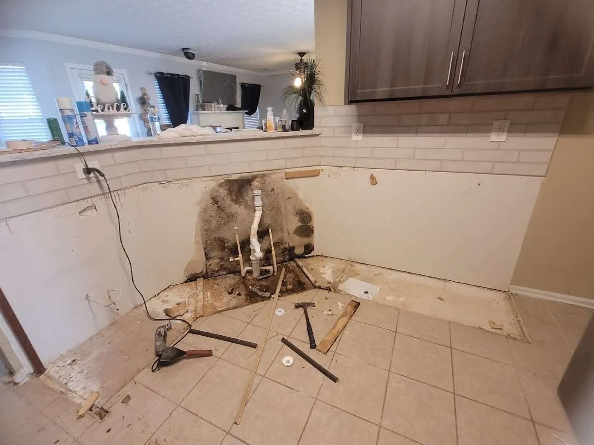 Mold behind wall with plumbing during Flood Damage Cleanup in Washington